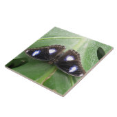 Mooie blauwe vlindertapijten tegeltje (Zijkant)
