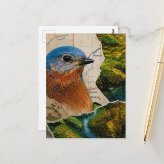 Mooie Blauwe Vogel Bos Kaart Collage
