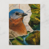 Mooie Blauwe Vogel Bos Kaart Collage (Voorkant)