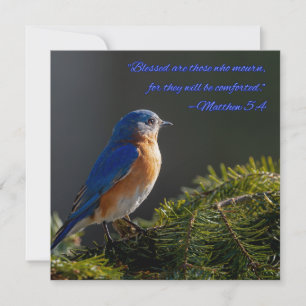 Mooie Blauwe Vogel condoleancekaart Mattheüs 5:4 Feestdagenkaart
