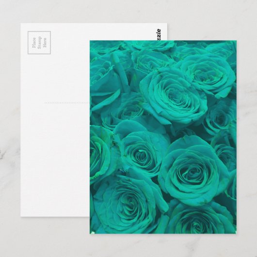 Mooie blauwgroen groene rozen blauwgroen bloemen briefkaart (Voorkant / Achterkant)