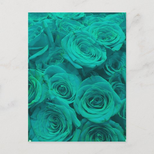 Mooie blauwgroen groene rozen blauwgroen bloemen briefkaart (Voorkant)