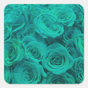 Mooie blauwgroen groene rozen blauwgroen bloemen vierkante sticker