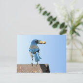 Mooie blauwvogel briefkaart (Staand voorkant)