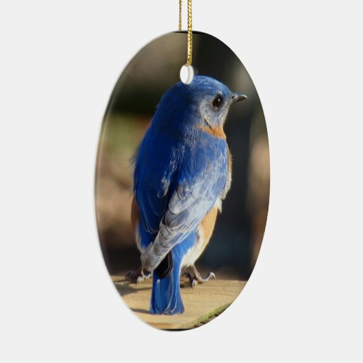 Mooie blauwvogel keramisch ornament (Rechts)