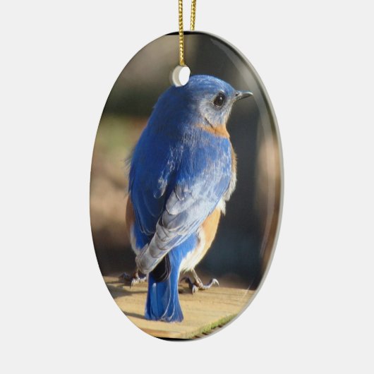 Mooie blauwvogel keramisch ornament (Links)