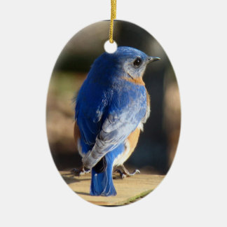 Mooie blauwvogel keramisch ornament