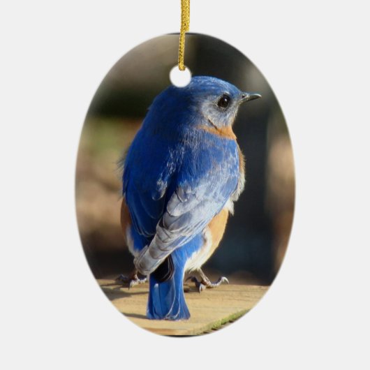 Mooie blauwvogel keramisch ornament (Voorkant)