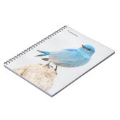 Mooie blauwvogel van de Berg aan de strand Notitieboek (Linkerzijde)