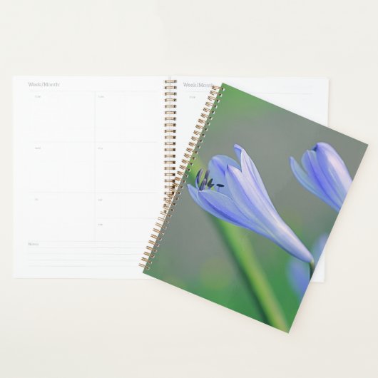 Mooie Bleke blauwe Paarse ventilator Planner (Display)