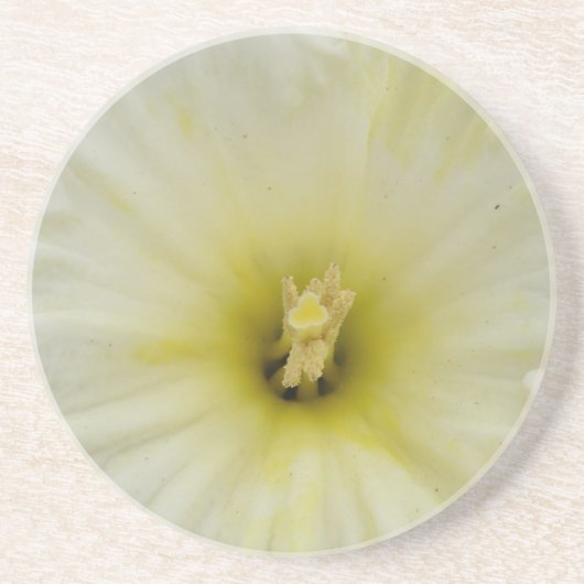 Mooie Bleke Narcis Onderzetters (Voorkant)