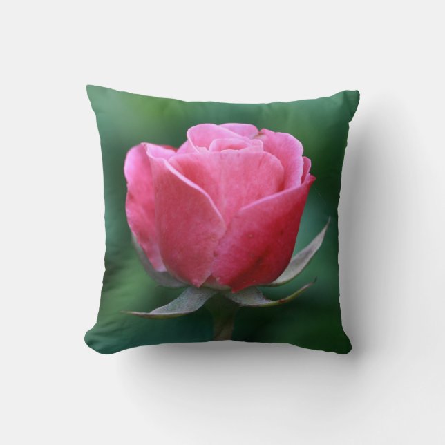 Mooie Bleke Rode / Roze Roos Worp Kussen (Voorkant)