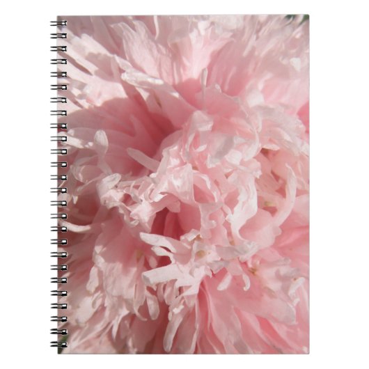 Mooie Bleke Roze Klaproos Notitieboek (Voorkant)