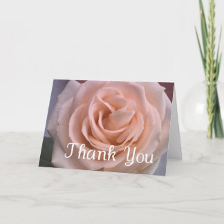 Mooie Bleke Roze Roos Bedankt Card