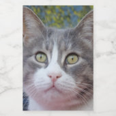 Mooie blik op het etiket van de kat-voedselverpakk (Enkel label)