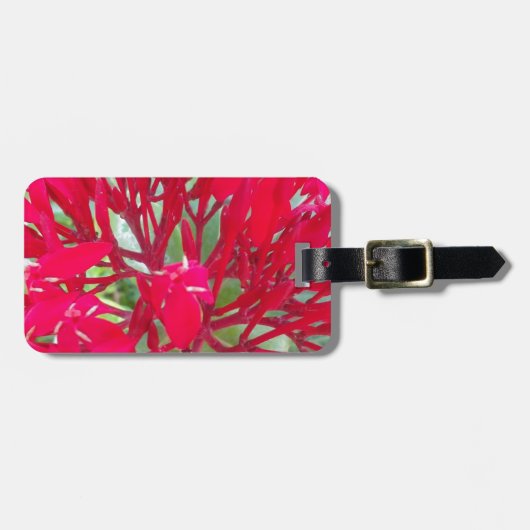 Mooie Bloedbloem Milkweed Art Print/Graphic Bagagelabel (Voorkant horizontaal)