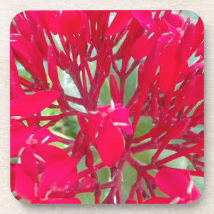 Mooie Bloedbloem Milkweed Art Print/Graphic Bier Onderzetter