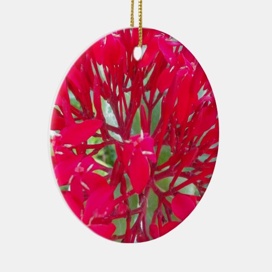 Mooie Bloedbloem Milkweed Art Print/Graphic Keramisch Ornament (Rechts)