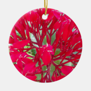 Mooie Bloedbloem Milkweed Art Print/Graphic Keramisch Ornament