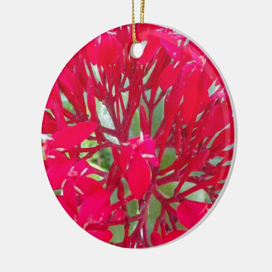 Mooie Bloedbloem Milkweed Art Print/Graphic Keramisch Ornament (Links)