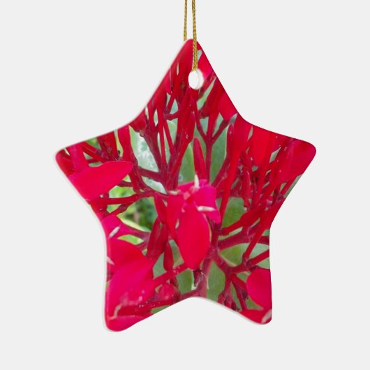 Mooie Bloedbloem Milkweed Art Print/Graphic Keramisch Ornament (Rechts)