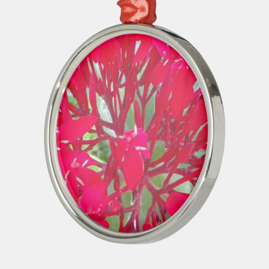 Mooie Bloedbloem Milkweed Art Print/Graphic Metalen Ornament (Links)