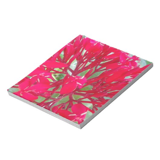 Mooie Bloedbloem Milkweed Art Print/Graphic Notitieblok (Linkerzijde)