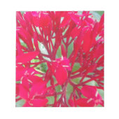 Mooie Bloedbloem Milkweed Art Print/Graphic Notitieblok (Voorkant)