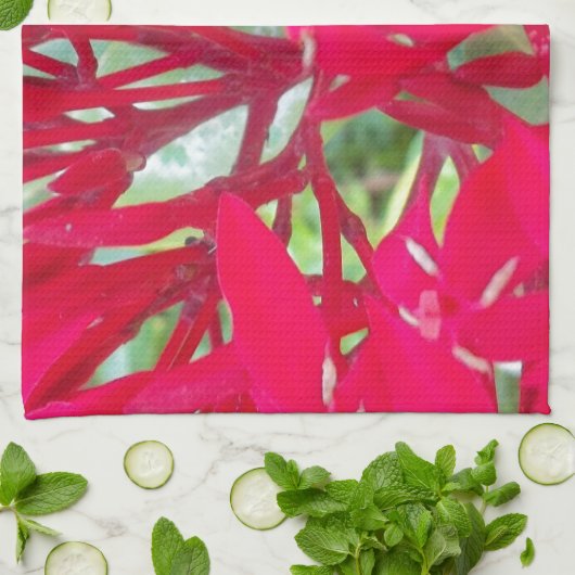 Mooie Bloedbloem Milkweed Art Print/Graphic Theedoek (Gevouwen)