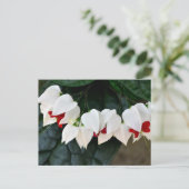 Mooie Bloedende Harten bloemen Briefkaart (Staand voorkant)