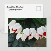 Mooie Bloedende Harten bloemen Briefkaart (Voorkant / Achterkant)