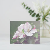 Mooie bloeiende appelboom Briefkaart (Staand voorkant)