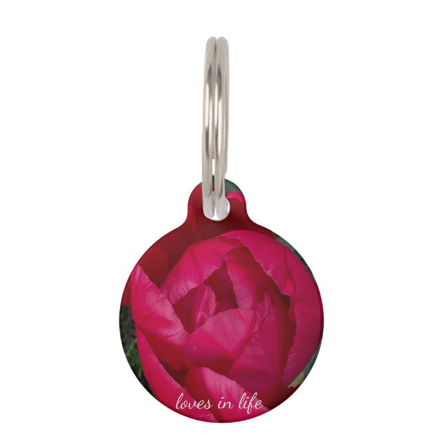 Mooie bloeiende rode pioen huisdierpenning (Voorkant)