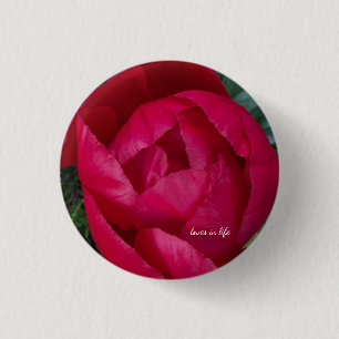 Mooie bloeiende rode pioen ronde button 3,2 cm