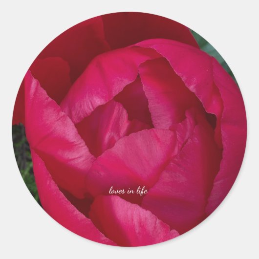 Mooie Bloeiende Rode Pioen  Ronde Sticker (Voorkant)