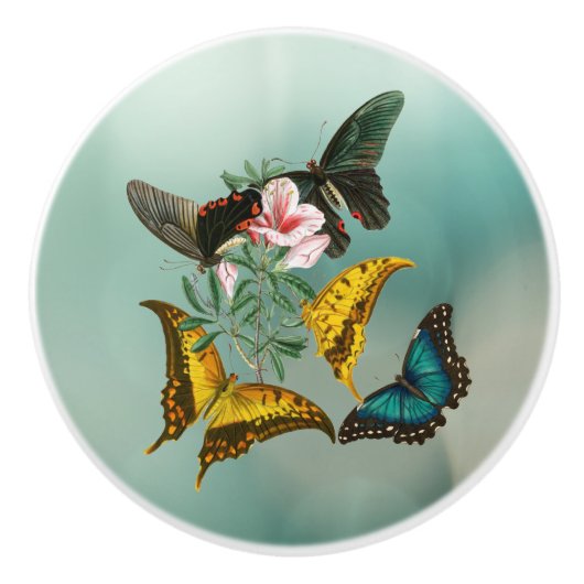 Mooie bloem en vlindergroen keramische knop (Voorkant)