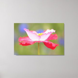 Mooie bloem foto canvas afdruk