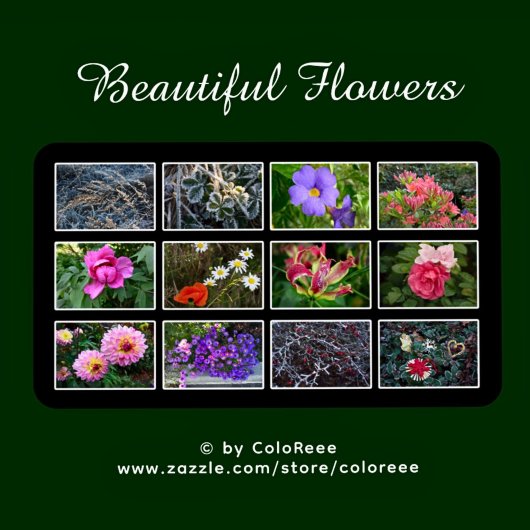 Mooie bloem foto - kalender