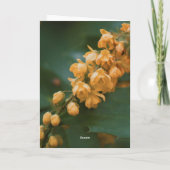 Mooie bloem fotografie blanco kaart (Achterkant)