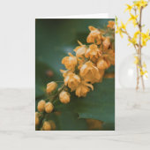 Mooie bloem fotografie blanco kaart (Gele Bloem)