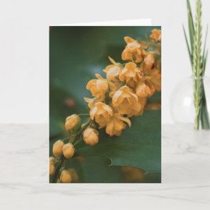 Mooie bloem fotografie blanco kaart