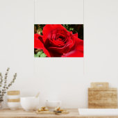 Mooie bloem helderrode roos poster (Keuken)