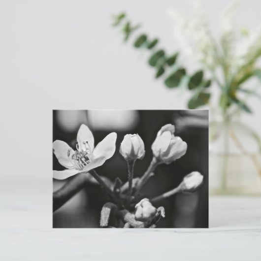 Mooie Bloem in Zwart en Wit (briefkaart) Briefkaart (Staand voorkant)