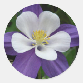 Mooie bloem paars witte akeleiflower ronde sticker
