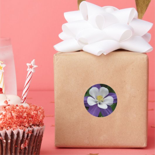 Mooie bloem paars witte akeleiflower ronde sticker (Feest)