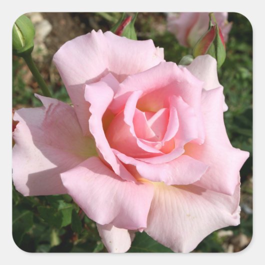 Mooie Bloem Sticker Set (Voorkant)