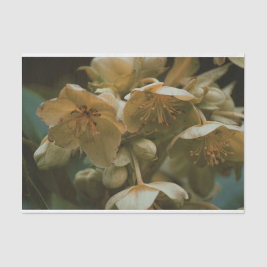 Mooie bloem Tissue Papier (Voorkant)
