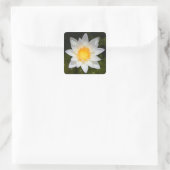 Mooie bloem, witte waterlelie vierkante sticker (Tas)