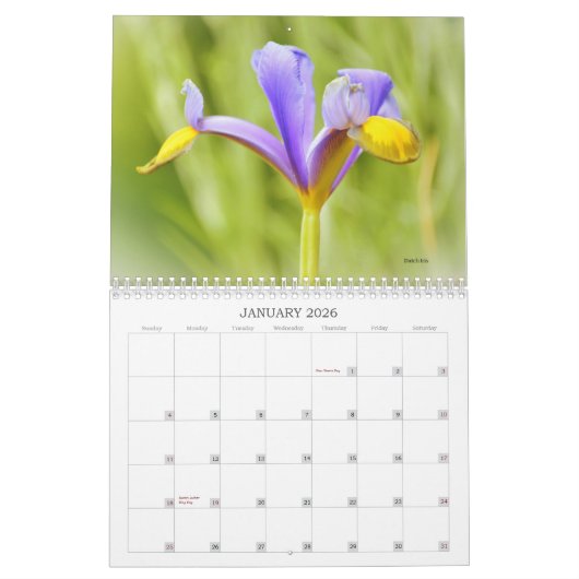Mooie bloemen bloemenkalender kalender (Jan 2026)