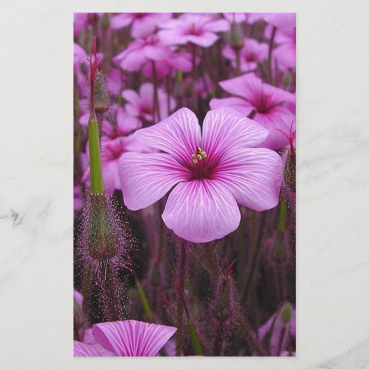 Mooie Bloemen Briefpapier (Voorkant)